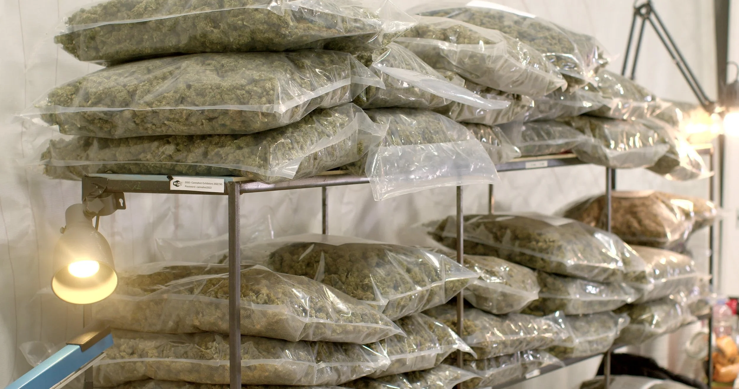 Caught Smuggling Cannabis into the UK: What Happens? (image 2 of 3)