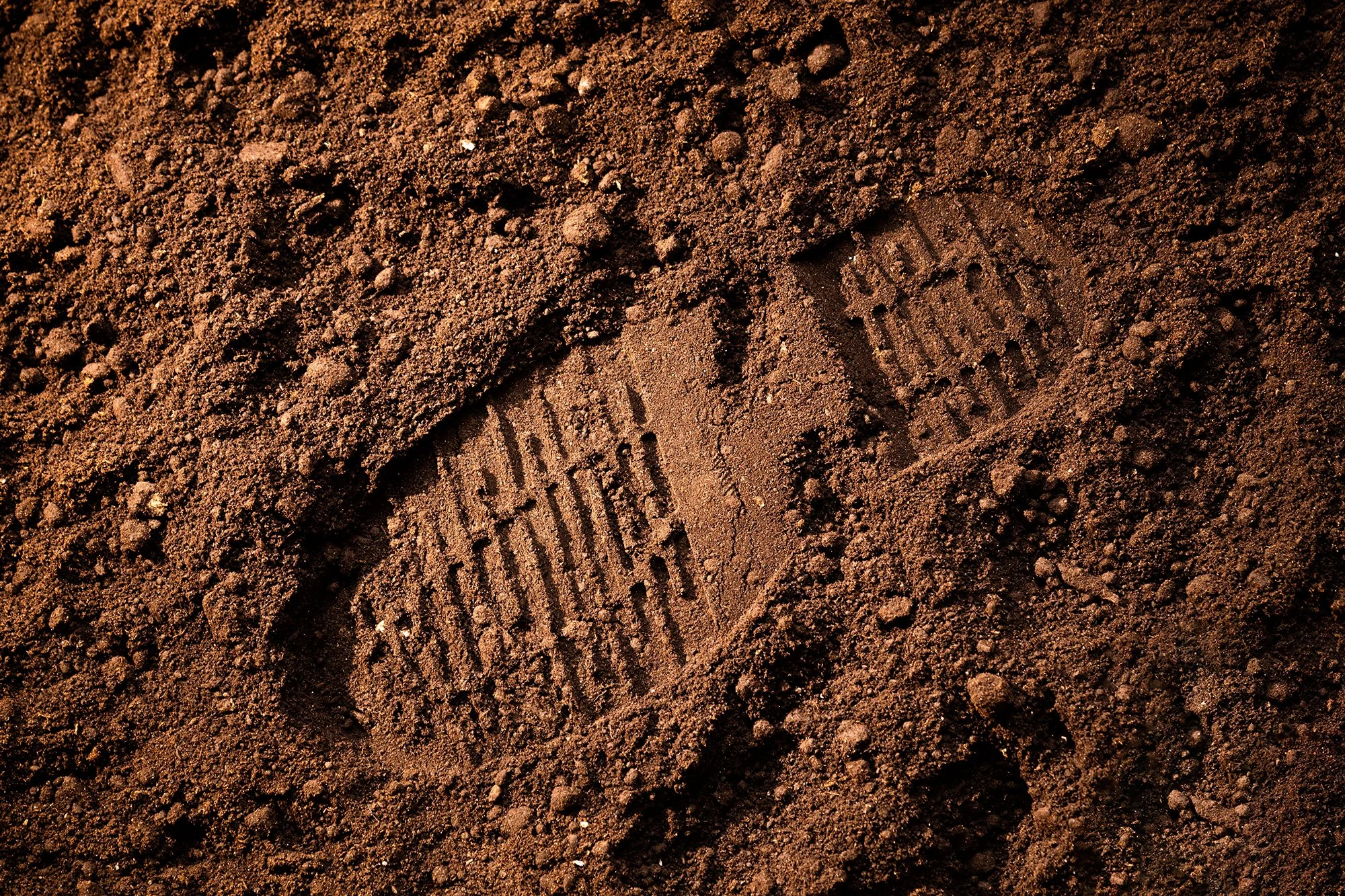 Footwear mark evidence (image 2 of 2)