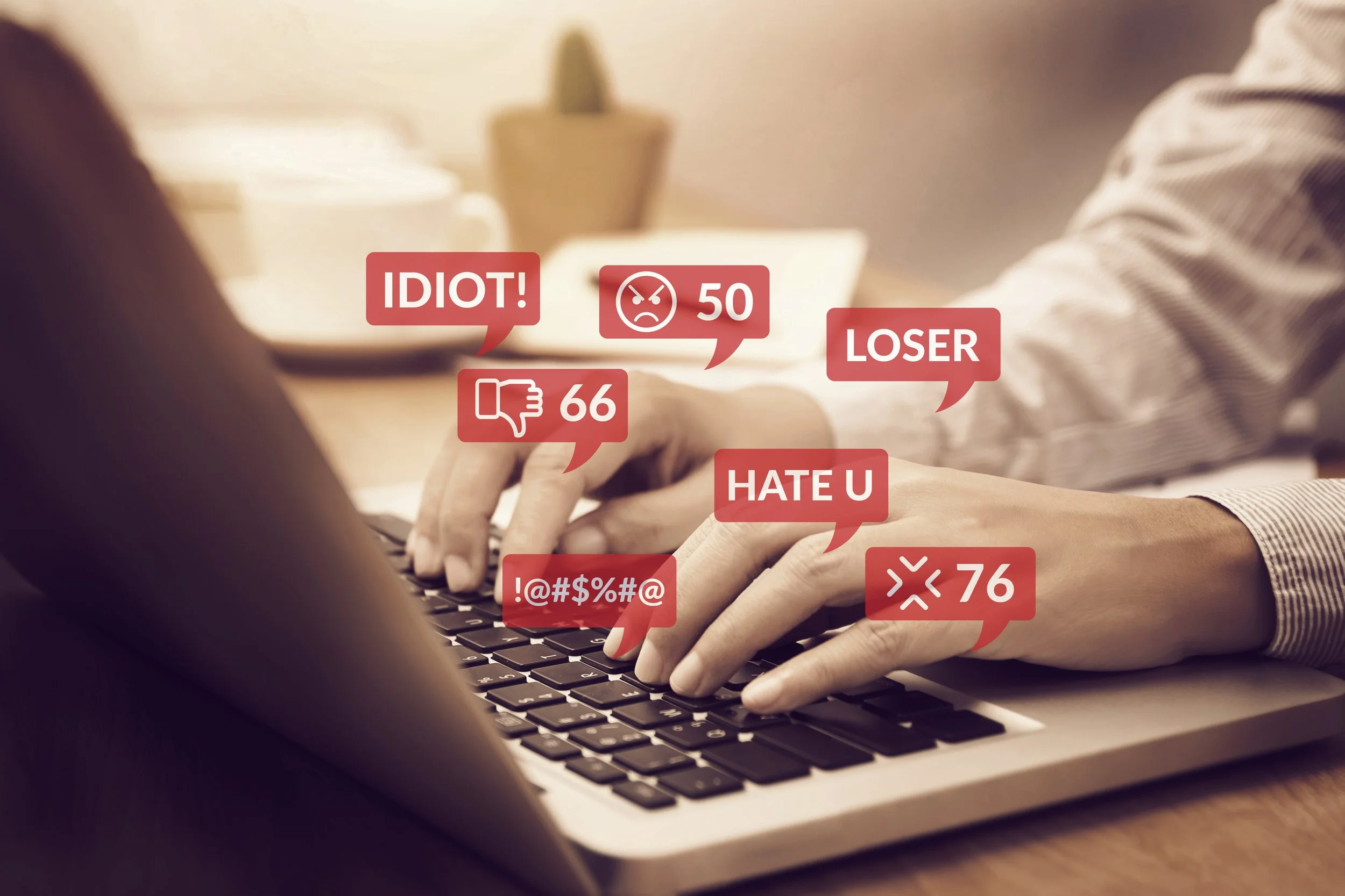 Can I go to jail for something I said online? (image 3 of 3)