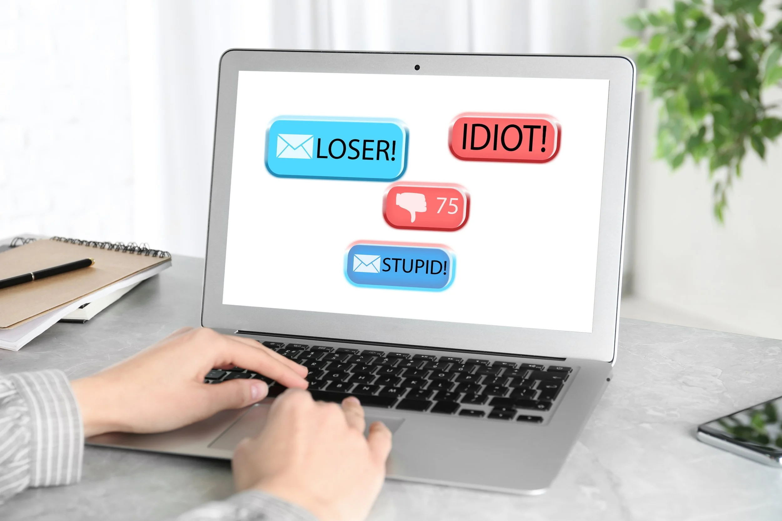 Can I go to jail for something I said online? (image 2 of 3)